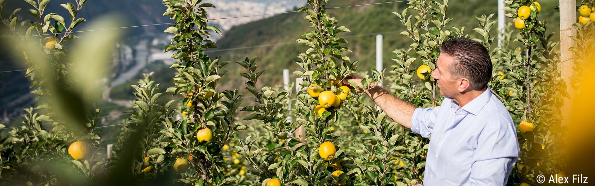 Bergapfelsäfte von Thomas Kohl